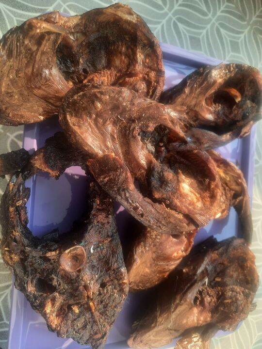 Nigerian Dried Fish Dry Fish Lazada PH