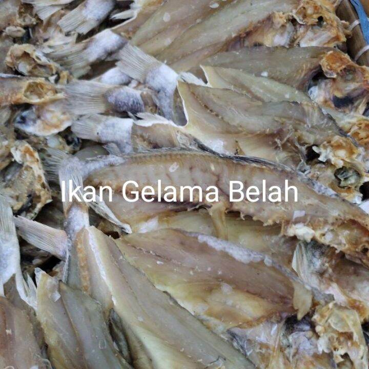 Ikan Kering (IKAN GELAMA BELAH) /PACK (500GM) | Lazada