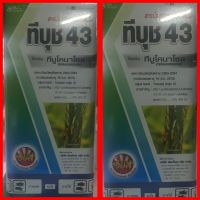 ทีบูโคนาโซล?ทีบุช 43?ชื่อสามัญ:ทีบูโคนาโซล43%W/V SC ป้อง กันกำจัดโรคพืช ออกฤทธิ์เร็ว ดูดซึมนาน โรคอรวงแห้ง โรคเมล็ดด่าง 1ลิตรกับ500ซีซี