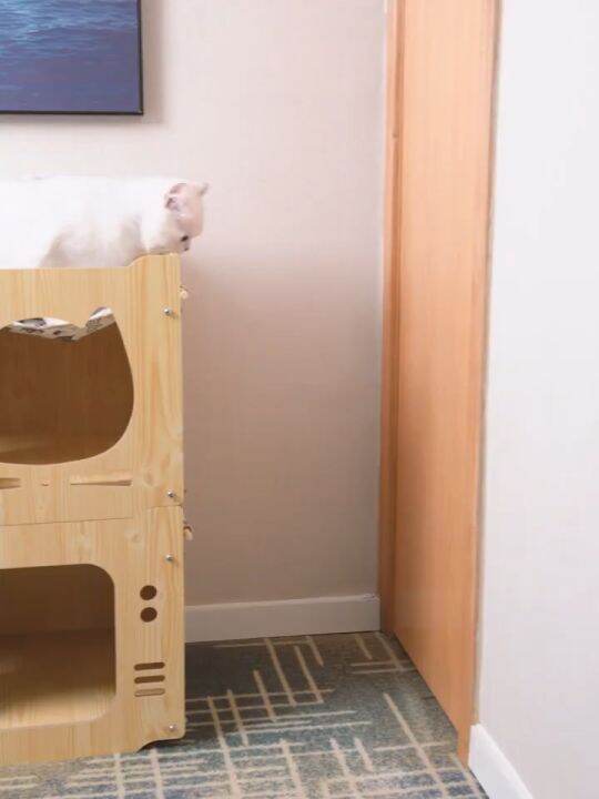 39x39x38cm Cat House Wooden Cat House Cat kennel building block