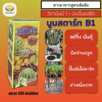 บูมสตาร์ท B1 ขนาด 100 ml เร่งราก เพิ่มราก