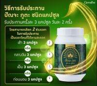 ปัญจะ ภู​ตะ​ NEW​แบบแคปซูล​
