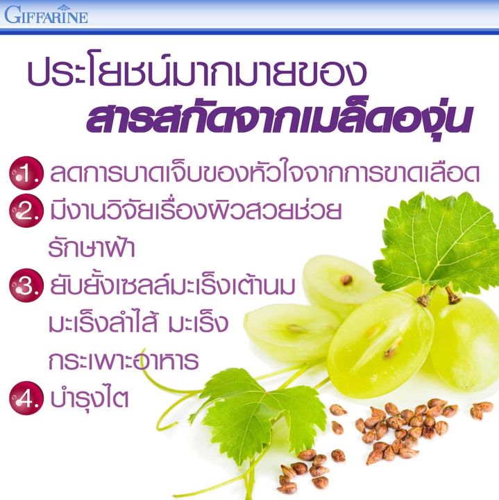 สารสกัดจากเมล็ดองุ่น-กิฟฟารีน-ผสมวิตามินซี-อี-เบต้าแคโรทีน-ซีลีเนียม