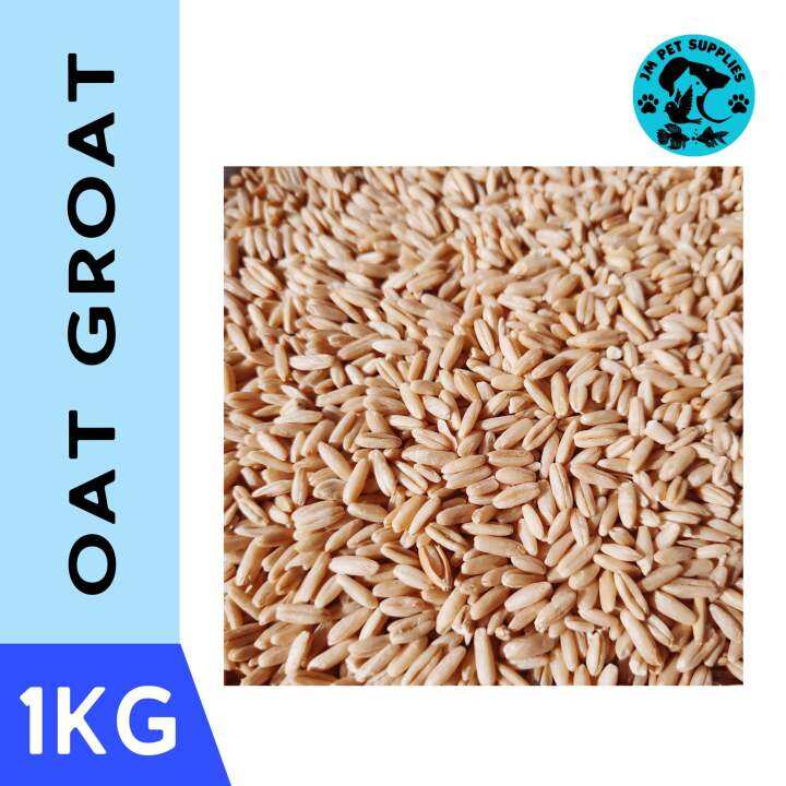 Oat groat for Birds 1 kilo Lazada PH