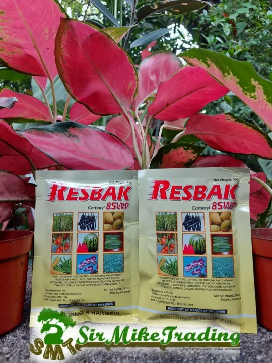 Resbak 85WP Carbaryl insecticide 50 grams (100 AUTHENTIC) Lazada PH