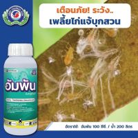 อัมพัน | 500 ซีซี(cc)