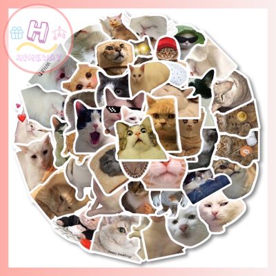 🐈สติ๊กเกอร์แมวเหมียว 322 คละลายไม่ซ้ำแบบ สติ๊กเกอร์รูปแมว ไดคัท 50ชิ้น กันน้ำ สำหรับตกแต่ง DIY หรือเป็นของแถมแจกลูกค้า  รูปแบบเก๋สีสวยคมชัด ตกแต่ง DIY สติ้กเกอร์ติดของใช้ แมว อุปกรณ์ตกแต่งบ้านแมว ของเล่นแมว