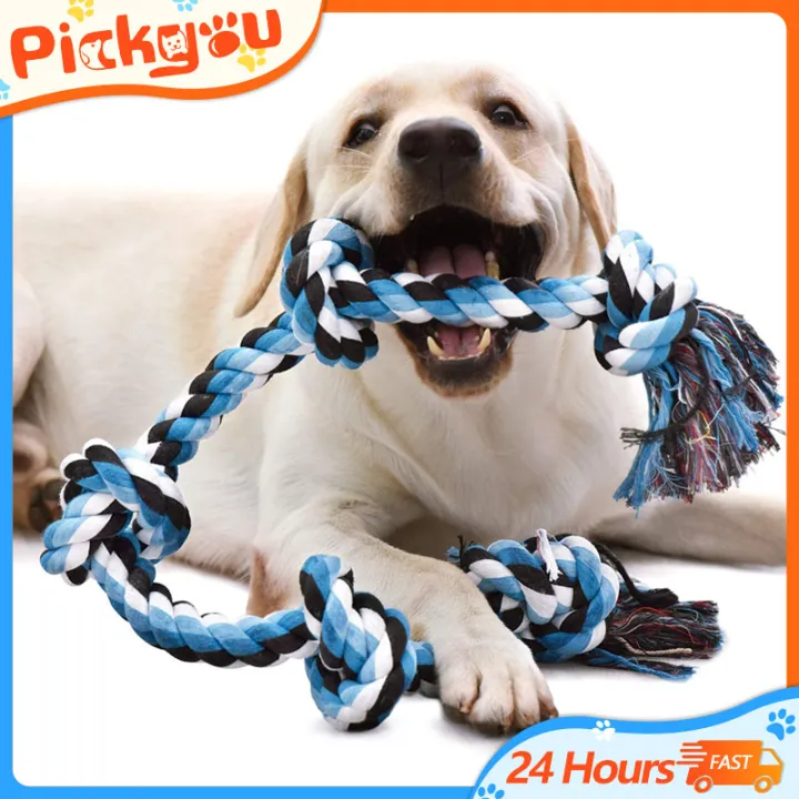 are rope toys good for dogs teeth