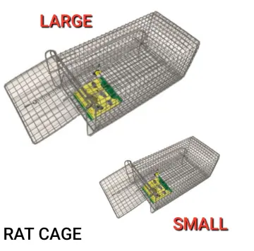 Hommie Humane Mouse Trap(Pack of 2), Reusable Rat Squirrel Trap