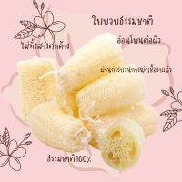 ใยบวบขัดผิว ใยบวบธรรมชาติ อ่อนโยนต่อผิว ไม่ทิ้งสารตกค้าง