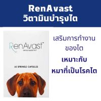 RenAvast DOG &amp; CAT อาหารเสริม บำรุงไตสุนัขและแมว 1 กล่อง บรรจุ 60 แคปซูล