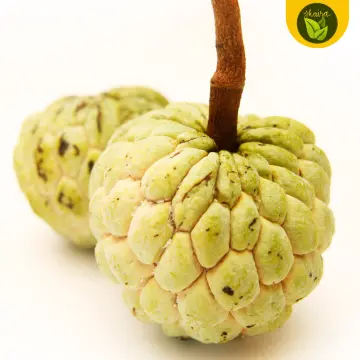 Atis