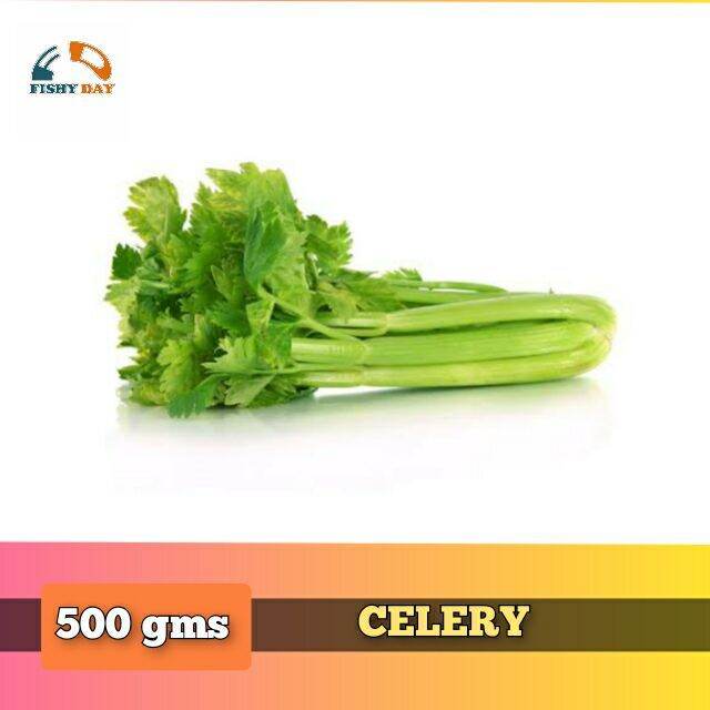 FRESH VEGETABLE CELERY 500 GRAMS Lazada PH