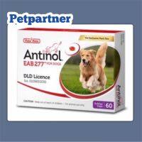 แอนตินอล แพ็คเกตใหม่ ของแท้ antinol dog