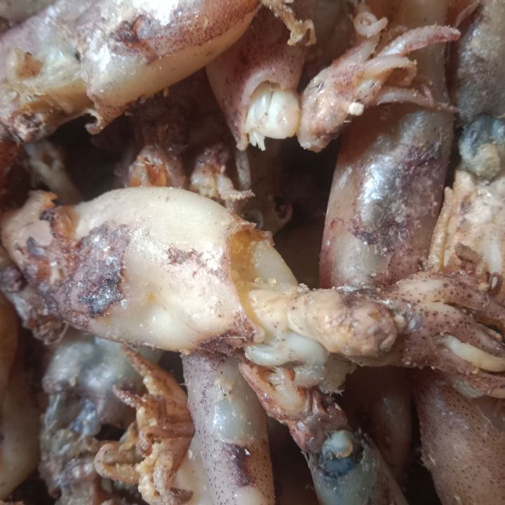 ปลาหมึกกระตอยต้มตากแห้งคัดออกจากปลากะตักฮาลาล-ครึ่งกิโล150บาท