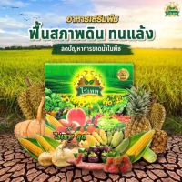 ไร่เทพ + ดินเทพ (สุดคุ้ม) ?ส่งฟรี ✅ ทุกวัน