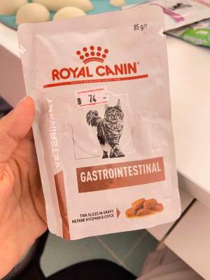 Royal canin gastrointestinal pouch สำหรับแมว