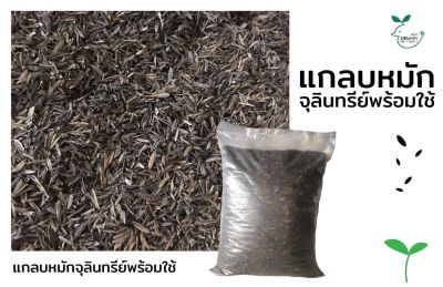 แกลบเก่าหมักจุลินทรีย์สำเร็จ พร้อมใช้ 1kg