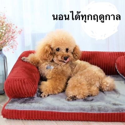 ที่นอนสุนัข มีขอบหนุนคอ ถอดออกซักได้ 🌳🐶ไม่ติดขน ระบายอากาศดี ดีต่อสุขภาพ