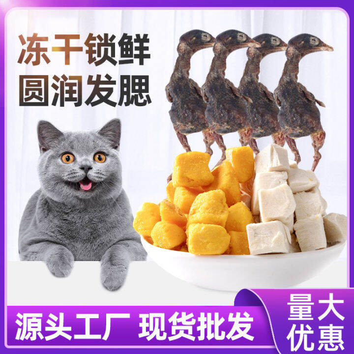 FreezeDried Cat Snacks Chicken Grain Egg Yolk Grain Quail Kittens