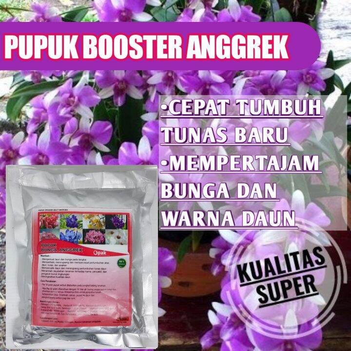 Pupuk Organik Pelebat Anggrek Penyubur Tanaman Raja Bunga Anggrek Agar ...