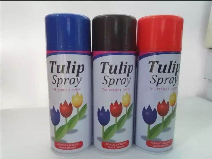 TULIP SPRAY PAINT (400ml) Lazada