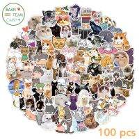 สติ๊กเกอร์ น้องแมวน่ารัก 165 น้องแมว 100ชิ้น น้องน่ารักมาก น้อง แมว น่ารัก cat น้อน แมว สติ้กเกอร์ เหมียว แมวส้ม สติกเกอร์ สติ๊กเกอร์แมว