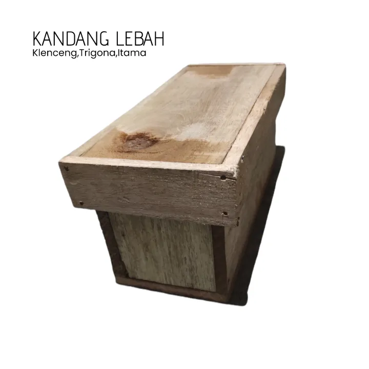 Kotak Lebah Madu Klanceng Trigona Box Kayu Stup Kelulut Biroi Kandang Budidaya Bibit Lebah | Lazada Indonesia