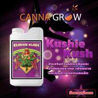 Advanced nutrient Kushie Kush ปุ๋ยเพิ่มขนาดดอกและผลผลิต เพิ่มน้ำมัน เพิ่มเรซิ่น ขนาด 50ml 100ml