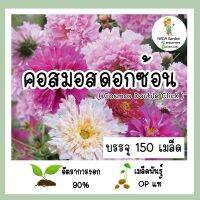 เมล็ดพันธุ์ คอสมอสดอกซ้อน คละสี (Cosmos Double Click ) บรรจุ 150เมล็ด เมล็ดพันธุ์แท้นำเข้าจากต่างประเทศ