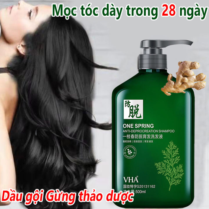 Khám phá sự kỳ diệu của dầu gội thảo dược kích mọc tóc! Sản phẩm chứa các thành phần như kẽm pyrithione, tinh dầu bạc hà và dầu quả bơ giúp tăng cường độ dày và kích thích mọc tóc. Cùng trải nghiệm cảm giác sảng khoái và tươi mới với mái tóc mới của bạn.