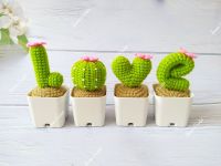 cactus Love ♥️ แคคตัสเลิฟ เซท4ชิ้น