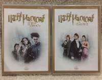 DVD Harry Potters Part 3,4. (language Thai). ดีวีดี แฮร์รี่ พอตเตอร์ ภาค 3,4. (แนวแอคชั่นไซไฟสนุกสุดหรรษา) (พากย์ไทย)แผ่นลิขสิทธิ์แท้มือ 1 ใส่กล่อง8กล่องหาชมยาก (สุดคุ้มราคาประหยัด)