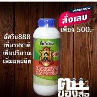 อัศวิน 888 เพิ่มปริมาณเนื้อ น้ำหนัก ให้ผลผลิต