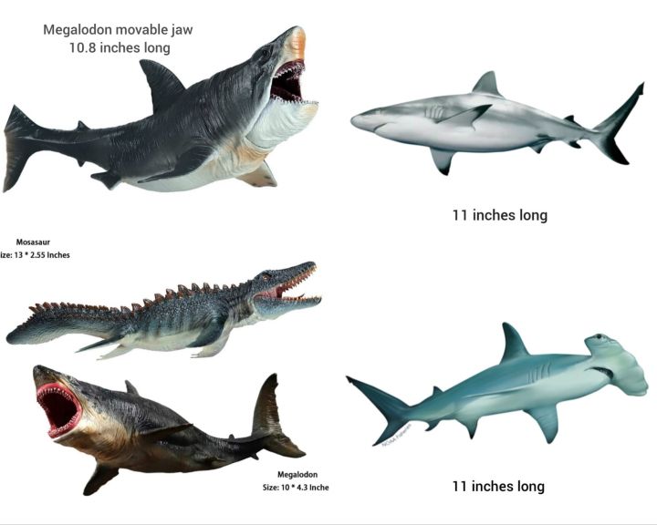 Sea creatures Colossal Megalodon Shark mosasaur sea dinosaur movable ...