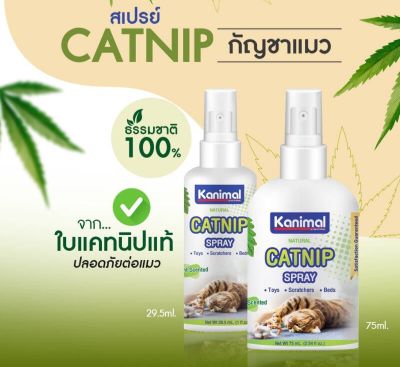 สเปรย์แคทนิป กัญชาแมว Kanimal สูตรธรรมชาติ100% อ่อนโยน ปลอดภัย ขนาด 29.5 ml.