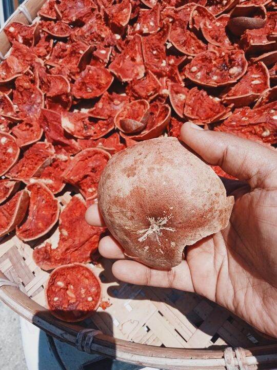 Dried Indian Bael fruits, dried vilvam fruits. Lazada