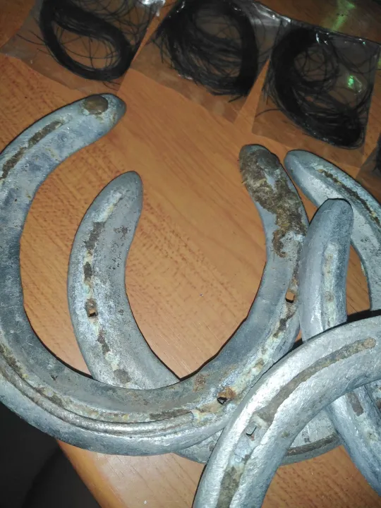 Horseshoe Lucky Charm for Business and Home Lazada PH