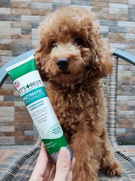 Vet’s Best Enzymatic Dog Toothpaste 3.5oz 112025 Lazada PH
