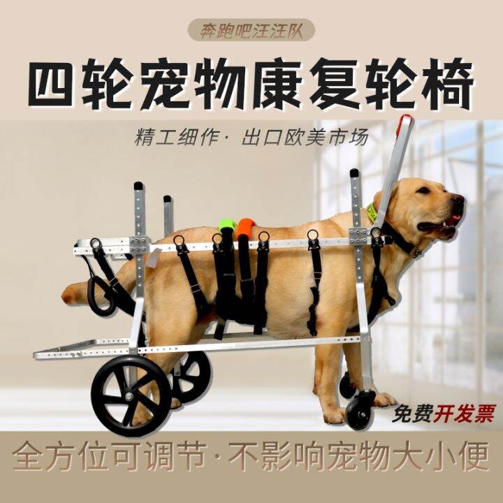 Paralyzed Dog Older Dog Wheelchair Labrador Alaska Golden Retriever