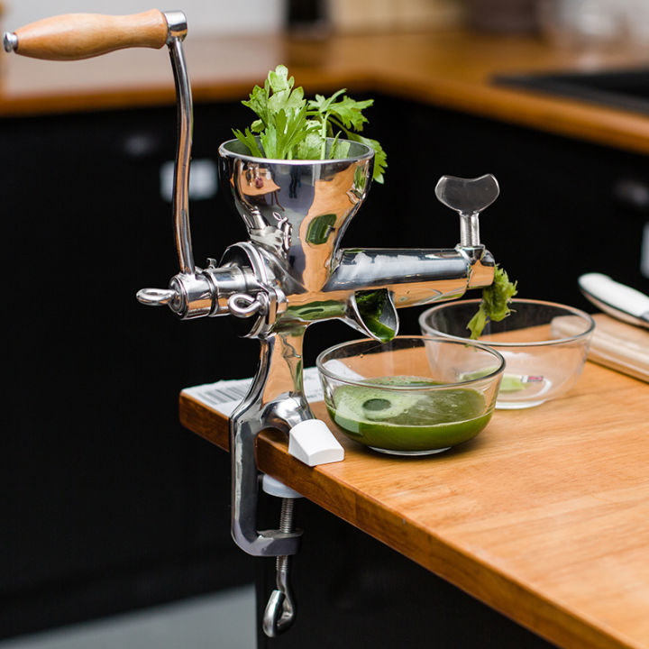 Stainless steel hotsell wheatgrass juicer