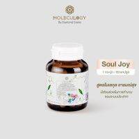 ของแท้ ส่งไว Soul Joy ผลิตภัณฑ์เสริมอาหารจาก Moleculogy by Diamond Grains บำรุงและฟื้นฟูระบบประสาท อารมณ์ และสมอง หลับสบาย สมองไบรท์สดชื่นหลังตื่นนอน จำง่ายไม่หงุดหงิด มีสมาธิ (30 แคปซูล / กระปุก)