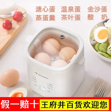 Multi function Double Layer Mini Electric Egg Steamer - Review and Usage 