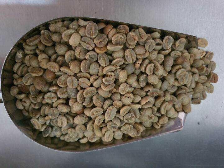 BRAZIL SANTOS GREEN COFFEE BEANS 1KG(RAW) Lazada PH