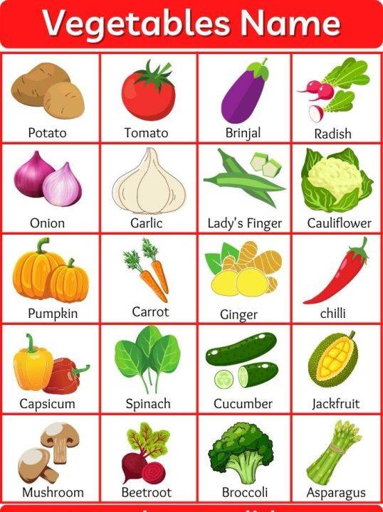 VEGETABLES NAMES LAMINATED A4 SIZE | Lazada PH