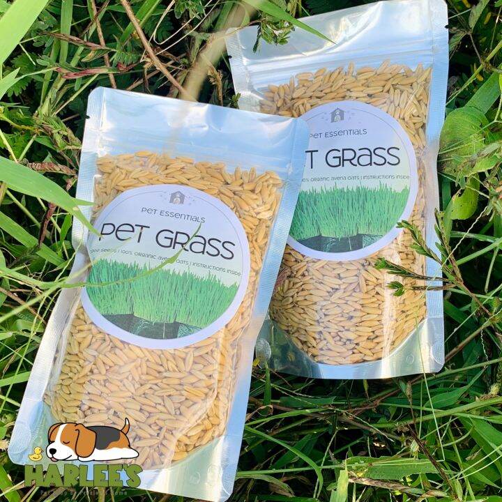 Pet Grass Seeds Lazada PH