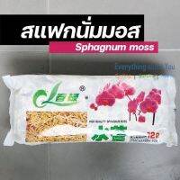 พร้อมจัดส่ง สแฟกนั่มมอส sphagnum moss 12L เก็บความชื้นให้ต้นไม้ พร้อมส่ง