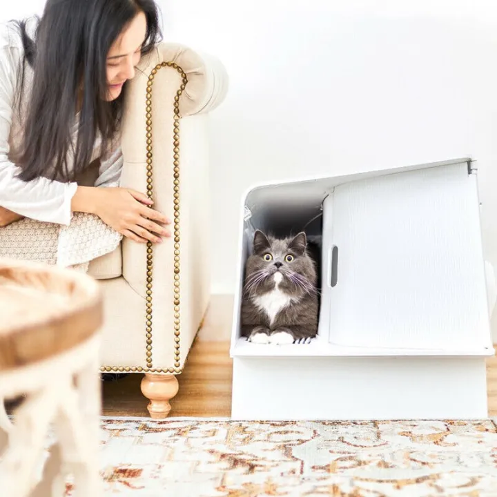 PetKit White Villa Sensory Cat Litter Box Lazada PH