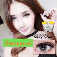 คอนแทคเลนส์แฟชั่นลาย Maxy gray