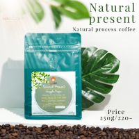 Nancoff natural present เมล็ดกาแฟอาราบิก้าคั่ว ดรายโปรเสส กาแฟน่าน สวนยาห